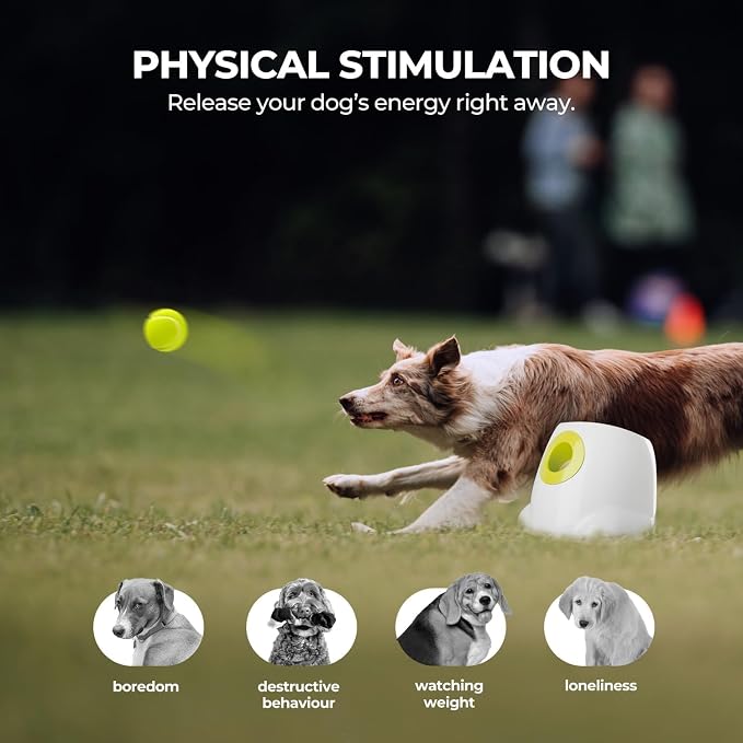Automatic Dog Ball Launcher with 3 Distances & 6 Balls