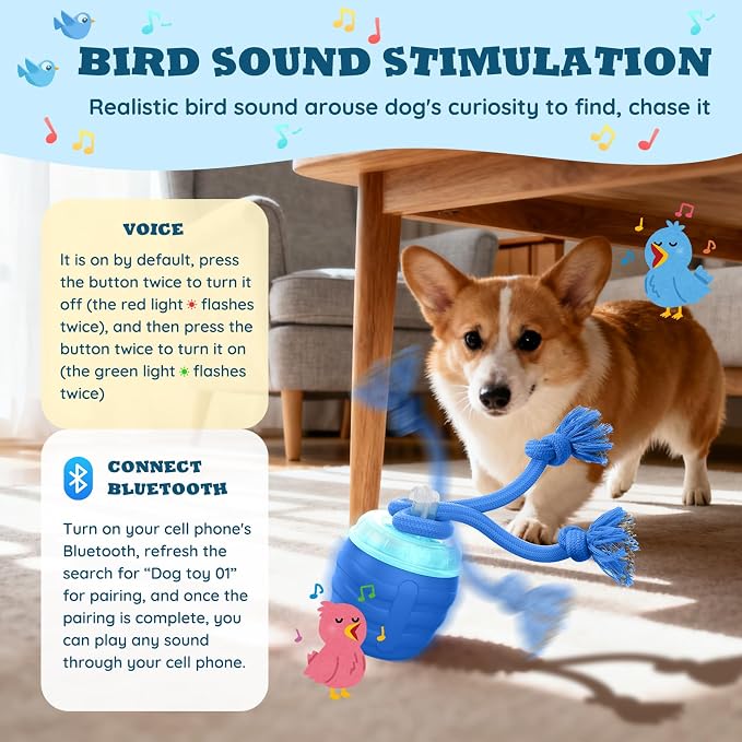 Interactive Automatic Dog Toy Ball with 3 Play Modes