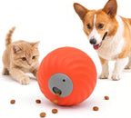 Rechargeable Rolling Treat Ball for Dogs & Cats