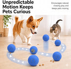 Rechargeable Rolling Treat Ball for Dogs & Cats