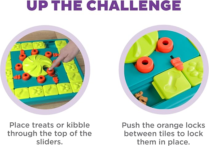 Expert Level 4 Dog Puzzle Toy & Treat Feeder