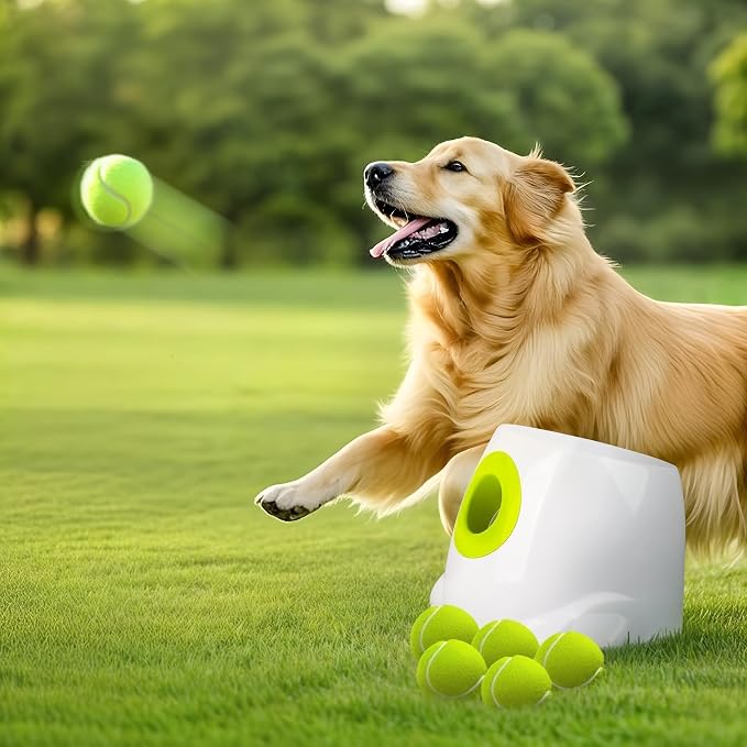 Automatic Dog Ball Launcher with 3 Distances & 6 Balls