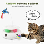 3-in-1 Interactive Cat Toy with Butterfly & Track Balls