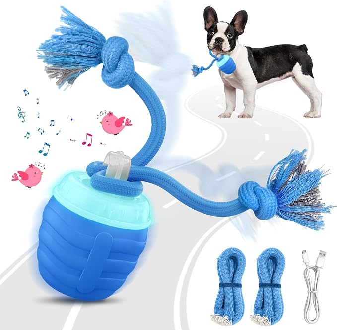 Interactive Automatic Dog Toy Ball with 3 Play Modes
