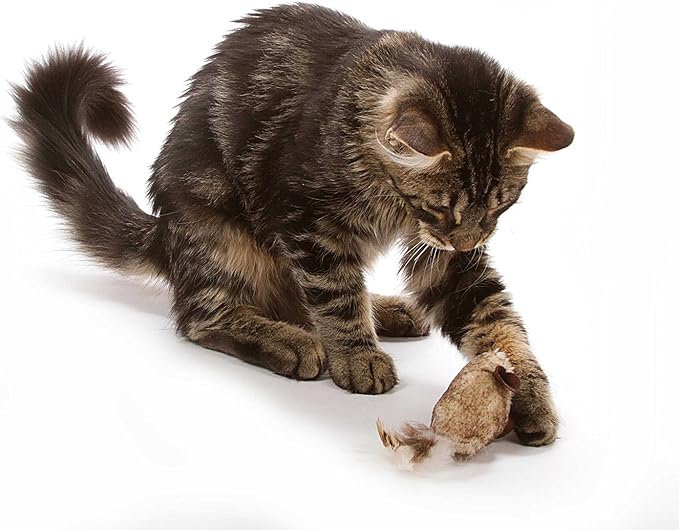 Interactive Cat Mouse Toys with Catnip & Squeak Sound, 2 Pack