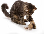 Interactive Cat Mouse Toys with Catnip & Squeak Sound, 2 Pack