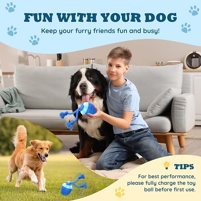 Interactive Automatic Dog Toy Ball with 3 Play Modes