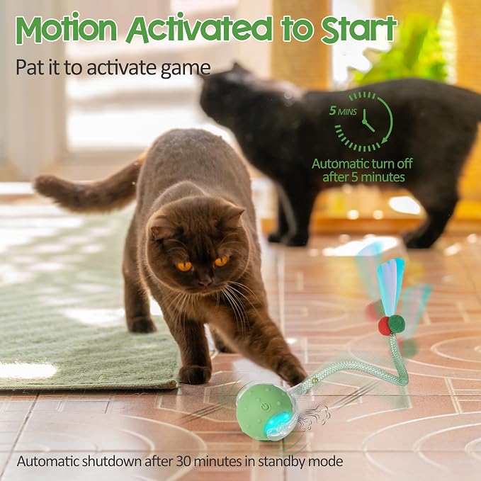 Automatic Moving Cat Toy Ball – Rechargeable Interactive Toy