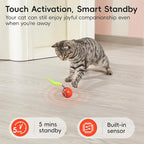 Rechargeable Moving Ball Cat Toy with Feather Tail