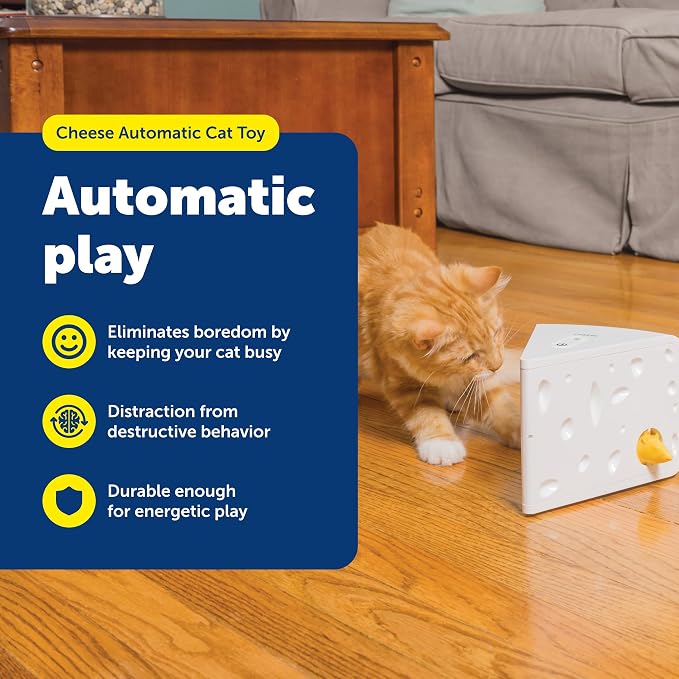 Interactive Peek-A-Boo Mouse Hunt Cat Toy