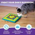 Expert Level 4 Dog Puzzle Toy & Treat Feeder