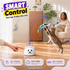 360° Automatic Flying Bird Wand Cat Toy – Rechargeable