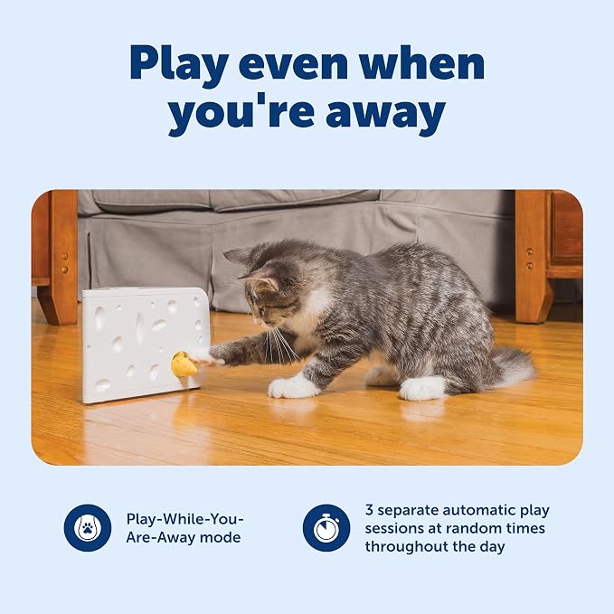 Interactive Peek-A-Boo Mouse Hunt Cat Toy