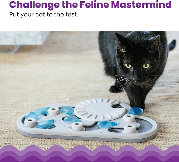 Interactive Level 3 Cat Puzzle Feeder & Slow Feeder