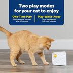 Interactive Peek-A-Boo Mouse Hunt Cat Toy