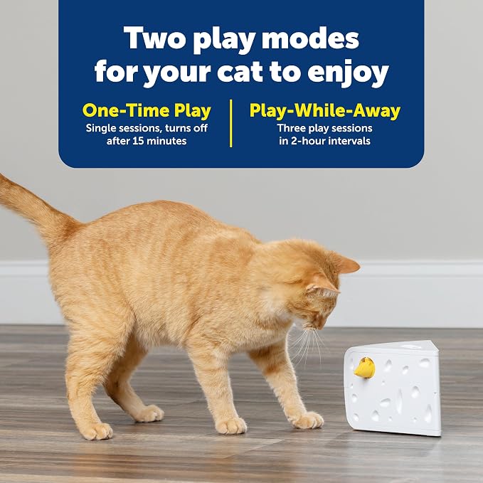 Interactive Peek-A-Boo Mouse Hunt Cat Toy